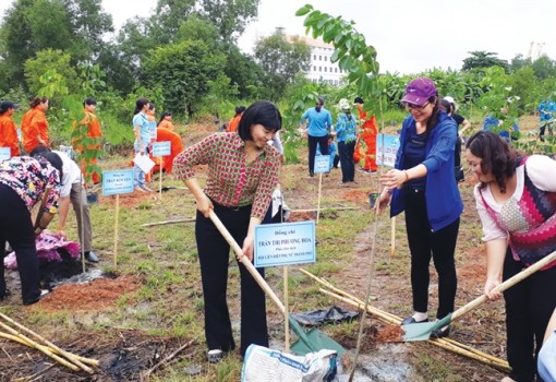 Chung tay phủ màu xanh cho thành phố