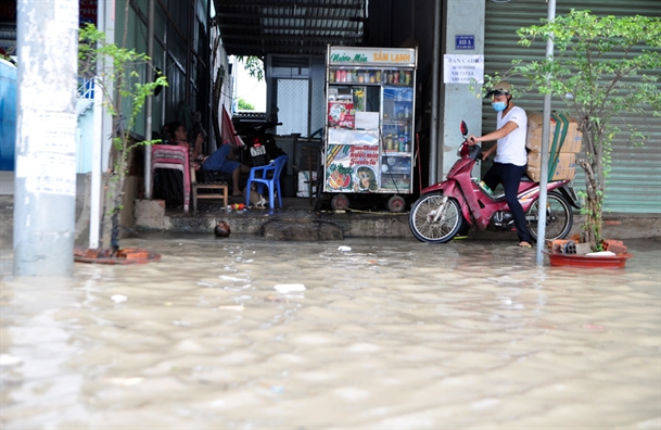 Bien Hoa chim trong bien nuoc sau tran mua ky luc do bao Doksuri