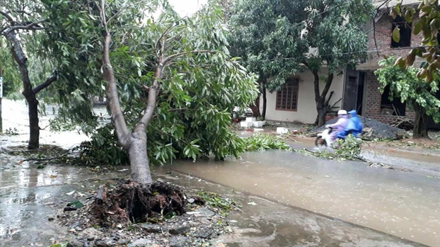 Sieu bao Doksuri do bo mien Trung, 2 nguoi tu vong cung hang tram nha dan toc mai