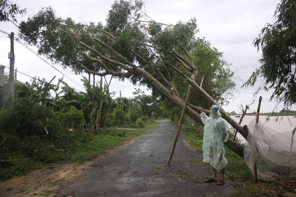 Nghe An, Ha Tinh, Quang Tri tan hoang sau sieu bao Doksuri