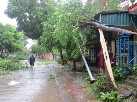 Siêu bão Doksuri thổi bay gần 50.000 mái nhà ở Quảng Bình, thiệt hại hơn 1.700 tỷ đồng