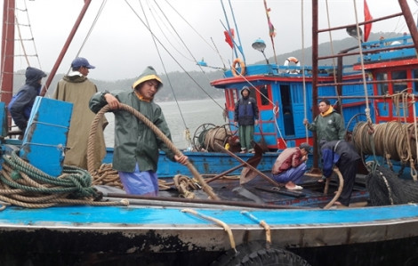 Tàu cá cùng 11 ngư dân mất tích trong bão Doksuri