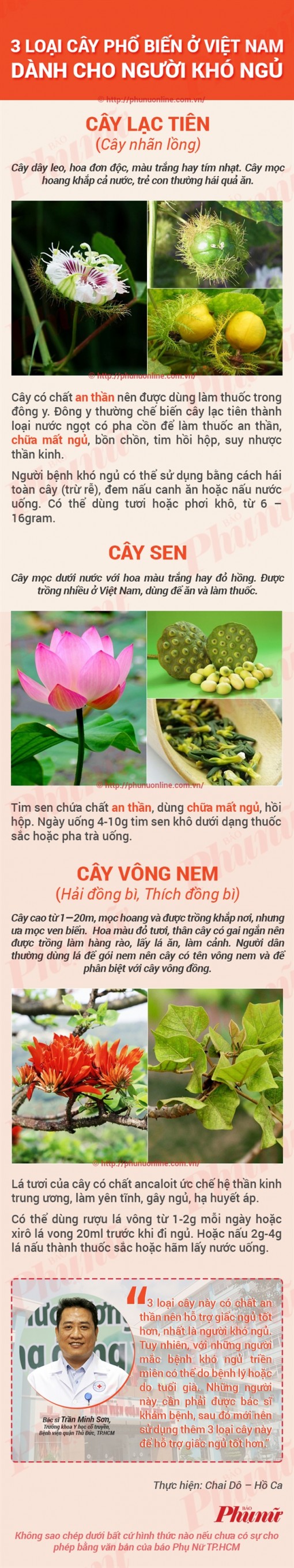 3 loại cây chữa mất ngủ rất dễ tìm ở Việt Nam