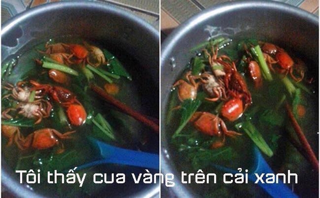 Vo khong biet nau an, chuyen nho, toi van rat yeu co ay