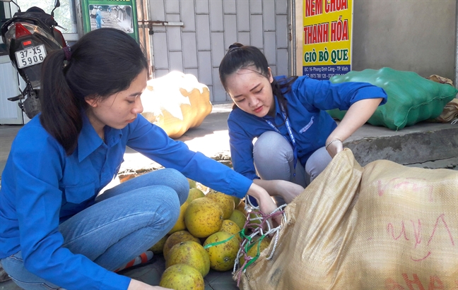 Nhieu ban tre Nghe An giup dan 'giai cuu' buoi Phuc Trach rung vang vuon sau bao