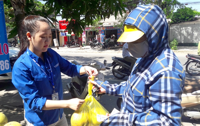 Nhieu ban tre Nghe An giup dan 'giai cuu' buoi Phuc Trach rung vang vuon sau bao