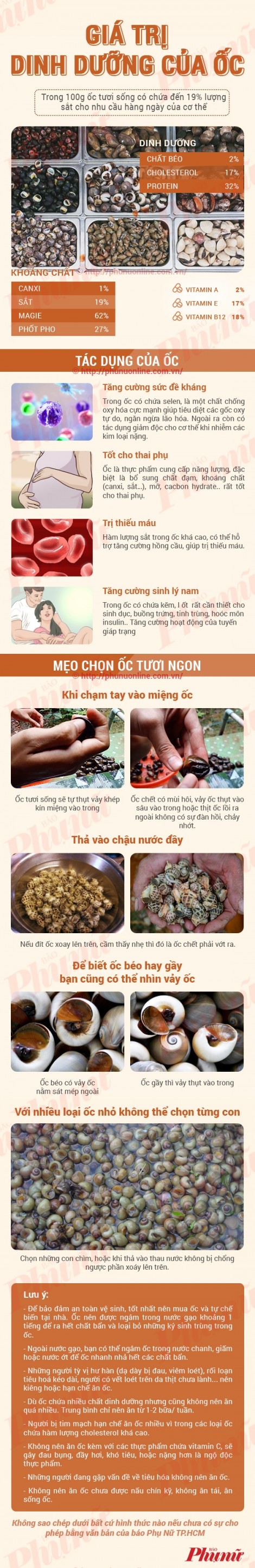 Mẹo chọn ốc tươi ngon