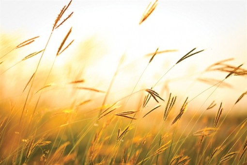 Người thân nằm bệnh, một trời yêu thương: Và cuộc sống cứ giản dị trôi đi... Người thân nằm bệnh, một trời yêu thương: Và cuộc sống cứ giản dị trôi đi...