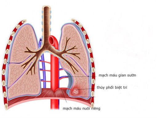 TP.HCM: Phát hiện trường hợp trẻ có phổi không dùng để hô hấp