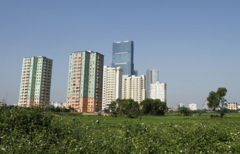 TP.HCM lập ban chỉ đạo về  địa chính và  dữ liệu đất đai