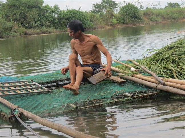 35 tan ca dong loat chet bi an, nong dan 'bay' tien ty