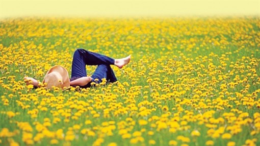 Hương gây mùi nhớ…