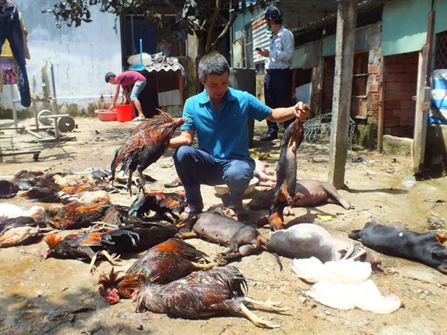 Khi doc tran ra khu dan cu, hang tram nguoi hoang loan thao chay