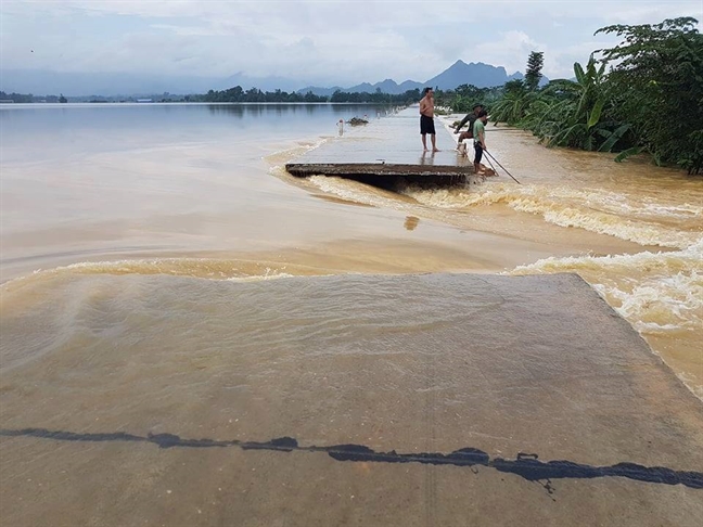 Vo de o Ha Noi, nhieu nha dan bi nhan chim