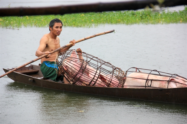 Huy dong 200 nguoi tim kiem be trai 4 tuoi bi lu cuon