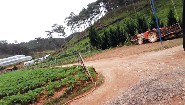 Vach mat duong day lua dua nguoi di lao dong kho sai: Tron khoi 'dia nguc'