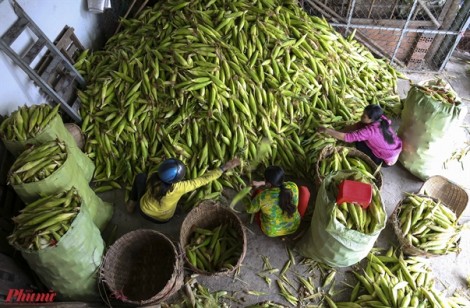 Khám phá chợ bắp gần 20 tuổi tại Sài Gòn