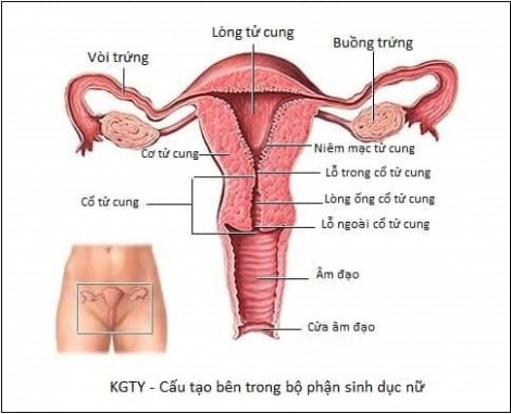 Bị lộn tử cung, sản phụ suýt không được thấy mặt con