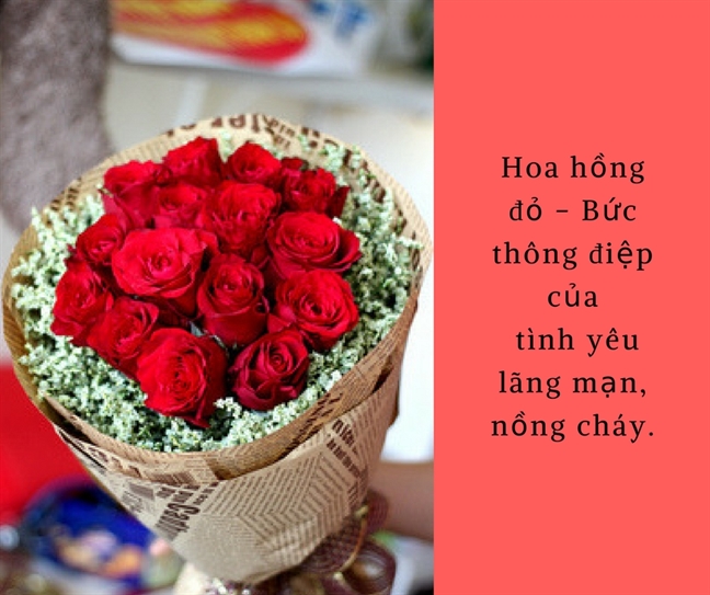 Nhung loai hoa y nghia nen tang ngay Phu nu Viet Nam 20/10