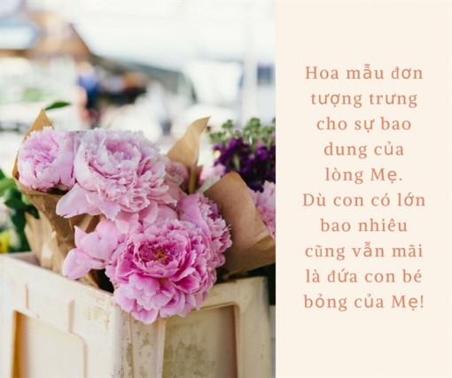 Những loại hoa ý nghĩa nên tặng ngày Phụ nữ Việt Nam 20/10