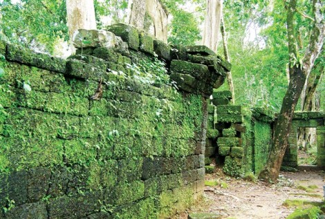 Tomo, đá xanh lặng lẽ ngời rêu phong