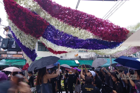 Duong hoa ruc ro tien dua co quoc vuong Bhumibol Adulyadej