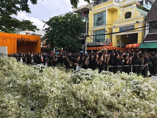Duong hoa ruc ro tien dua co quoc vuong Bhumibol Adulyadej