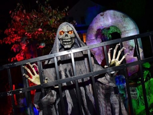 Halloween: Zombie và bí ngô đầy đường, nhện đen 'tấn công' Nhà Trắng