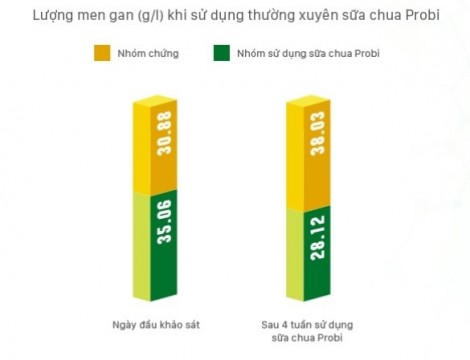 Nghiên cứu lâm sàng chứng minh hiệu quả của probiotics trong kiểm soát tăng men gan, giảm viêm loét dạ dày hành tá tràng