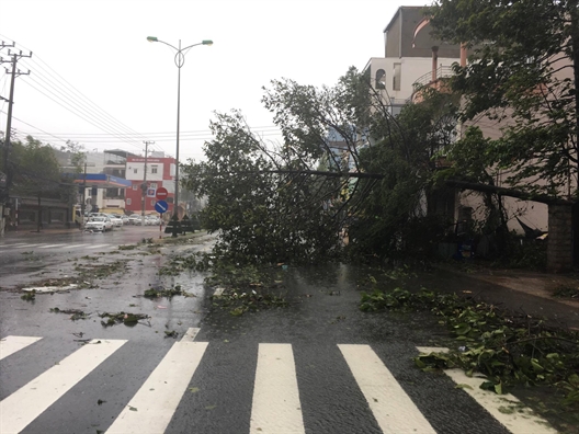 Nha Trang: Nha toc mai, cay xanh nga la liet trong bao Damrey