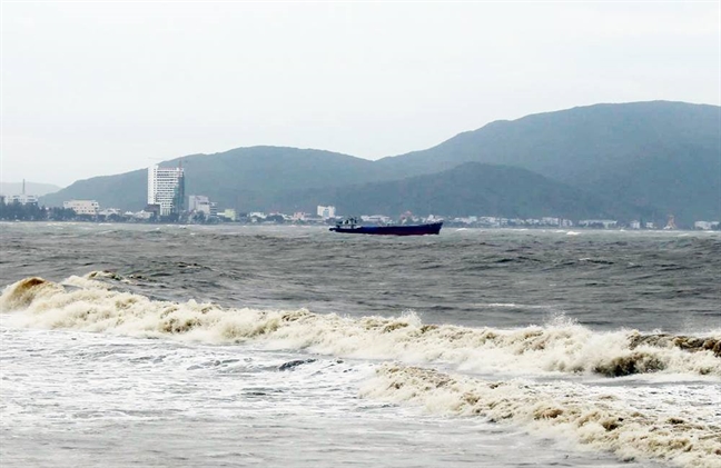 Nhieu tau bi chim, thuyen vien nhay xuong bien vi khong duoc vao cang Quy Nhon tranh bao?