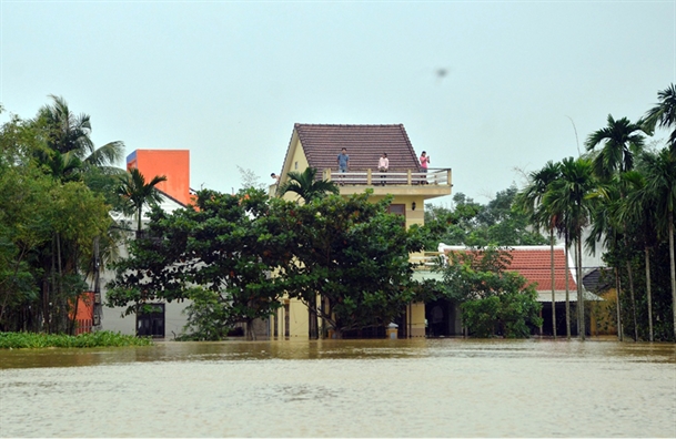 Hoi An van chim trong nuoc lu