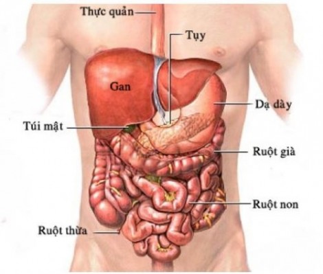 Ăn no vội chạy xe, một tài xế bị vỡ dạ dày