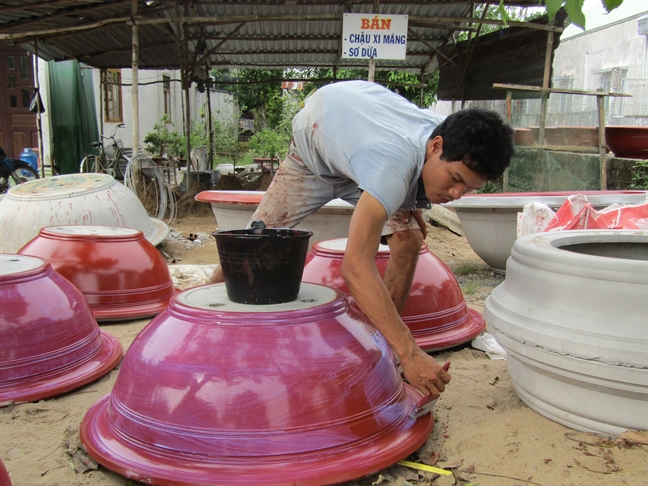 Chau hoa kieng mien Tay vao mua Tet