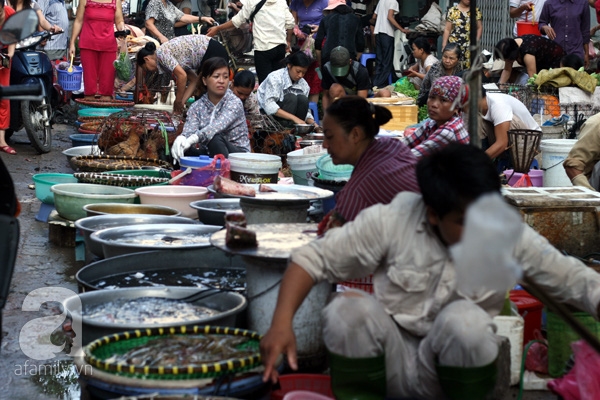 Nhap nhang ca tuoi -  ca dong lanh