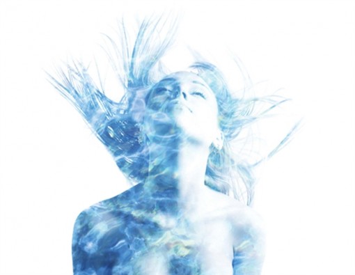 Cánh chim lẻ giữa bầu trời