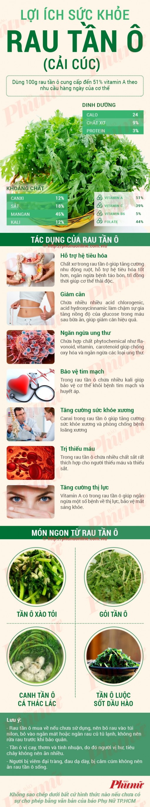 Những món ngon từ rau tần ô giúp cải thiện sức khỏe đến bất ngờ