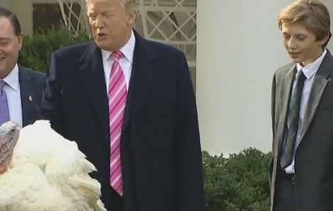 Xem Tổng thống Donald Trump 'xá tội' cho gà tây