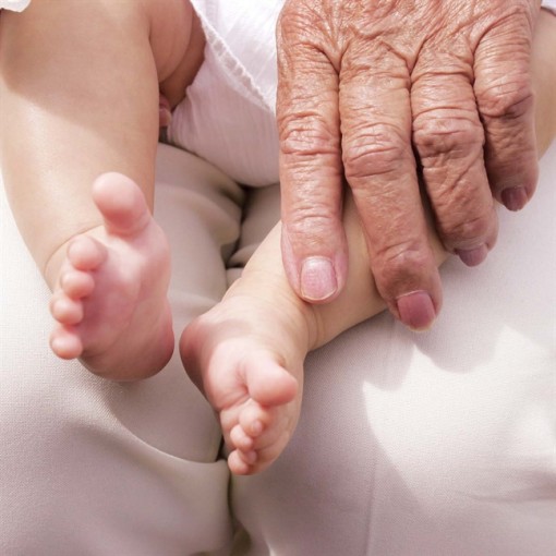 Hãy rong chơi, bà ngoại nhé