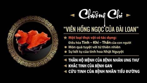 Loạn quảng cáo dược phẩm, Bộ Y tế yêu cầu thiết lập tổ phản ứng nhanh