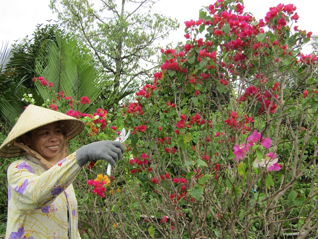 Nguoi trong hoa giay lac quan truoc tin don that thiet