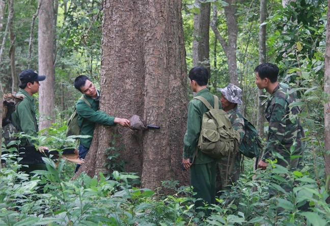 De nghi khong thu hoi hon 11 ti dong chi phu cap vuot cho nganh kiem lam