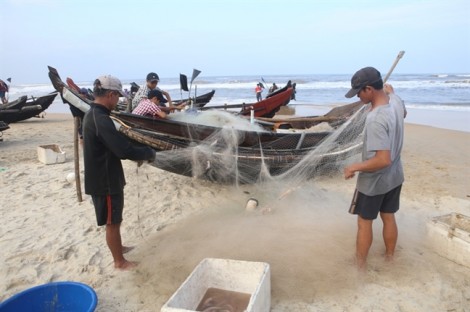 Ngư dân Huế kiếm tiền triệu nhờ trúng đậm 'lộc biển'