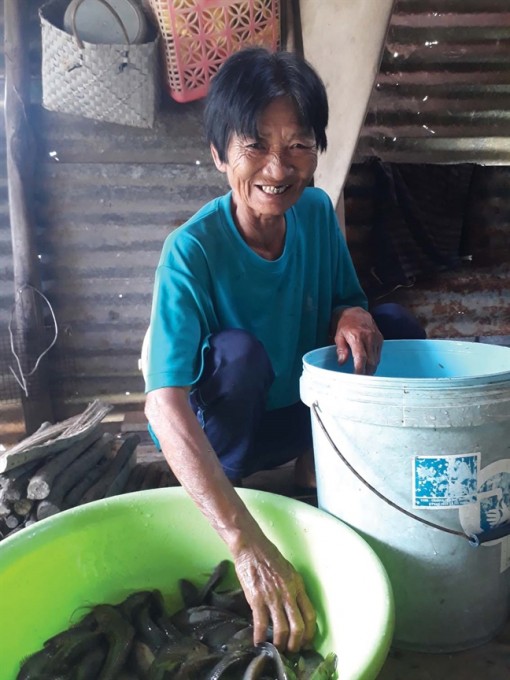 Con nít vào tay tui, một tuần bơi giỏi liền