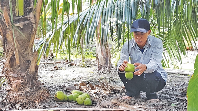 Hoa Trung Quoc se tung hoanh dip Tet 2018?