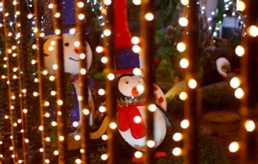 Những tai nạn thương tâm mùa Noel từng xảy ra ở Việt Nam