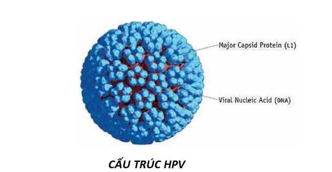 Bi hai nghi an vo chong ngoai tinh va con HPV