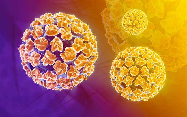 Nghien cuu chung minh trai tan van co the nhiem virus HPV