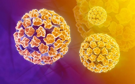 Nghiên cứu chứng minh trai tân vẫn có thể nhiễm virus HPV