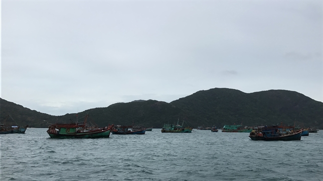 Con Dao dua ngu dan vao bo, di tan nguoi den noi kien co de tranh bao Tembin